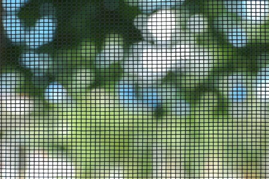 insect screens
